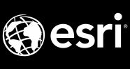 Logo Nero - Esri