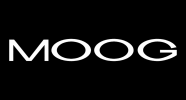Logo Nero - Moog